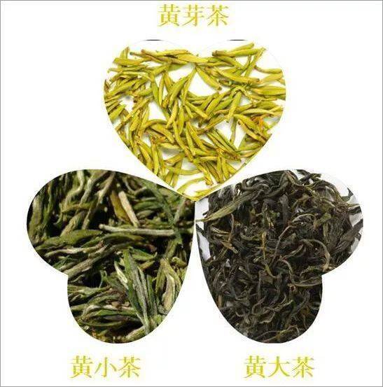 茶文化之黄茶篇（黄茶的分类及选购）(图5)