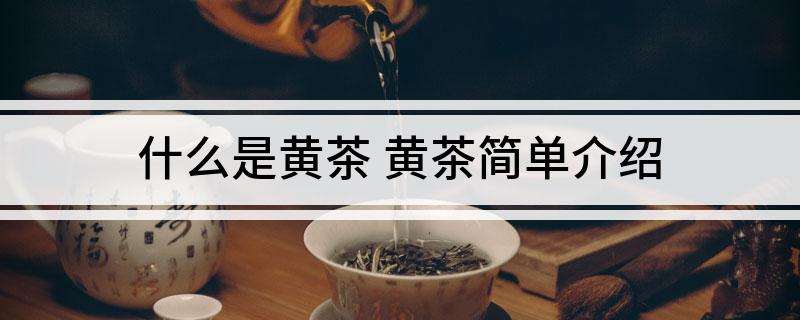 什么是黄茶(图1)