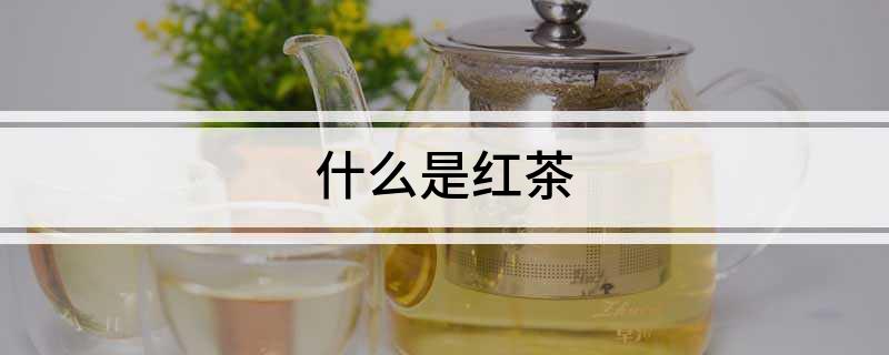 什么是红茶(图1)