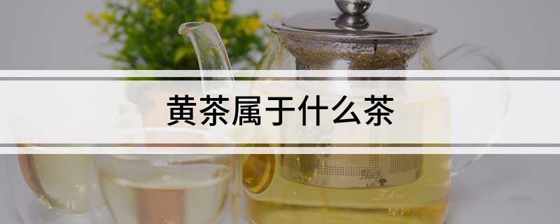 黄茶属于什么茶(图1)