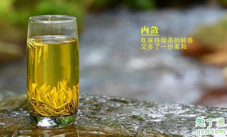 黄茶是什么茶叶黄茶的功效与作用(图3)