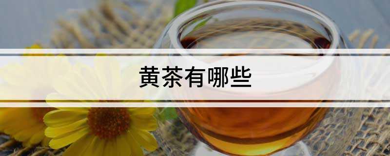 黄茶有哪些(图1)