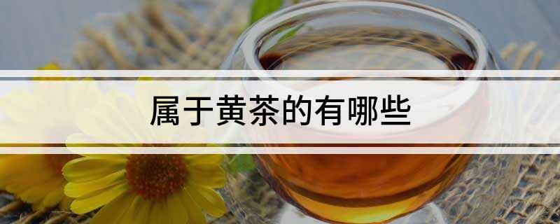 属于黄茶的有哪些(图1)